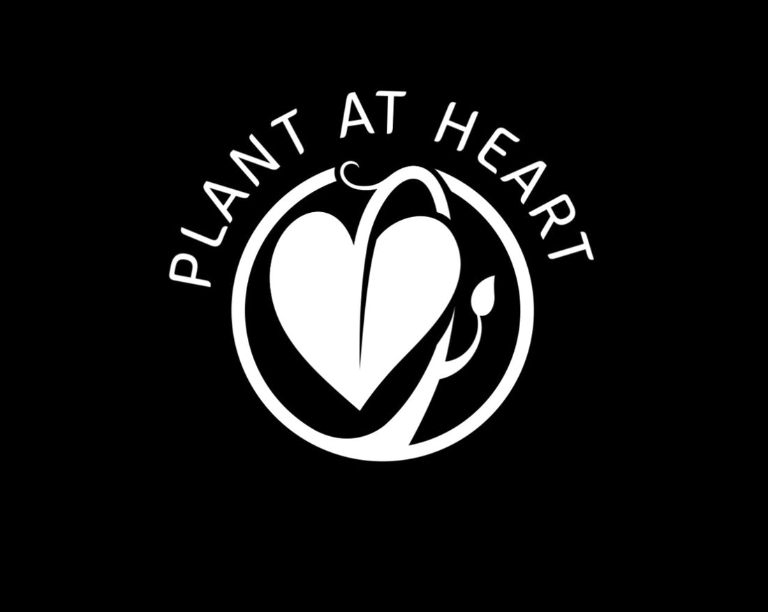 Why I Started a Vegan T-Shirt Brand Called Plant at Heart