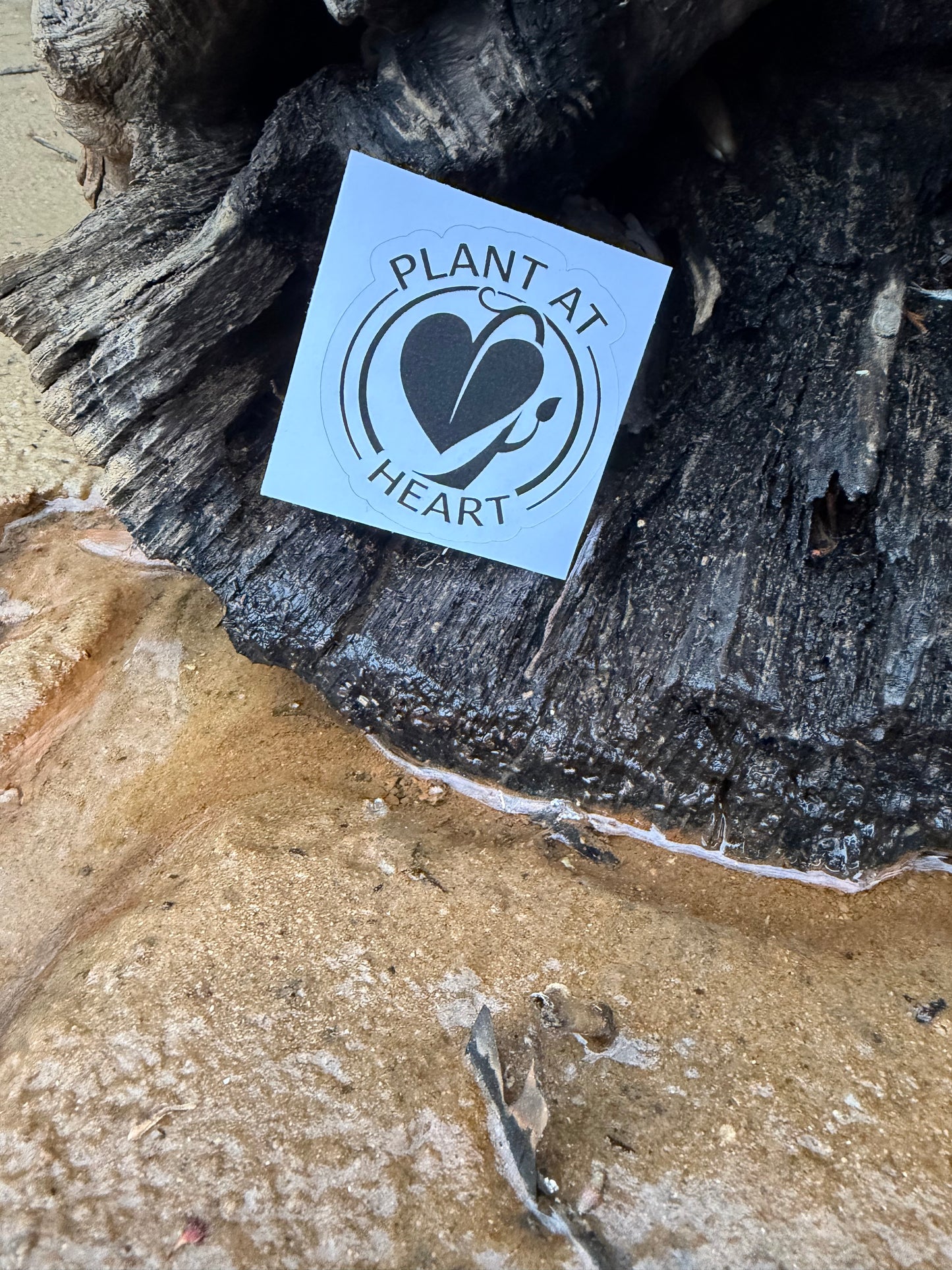 Plant at Heart Vinyl Sticker