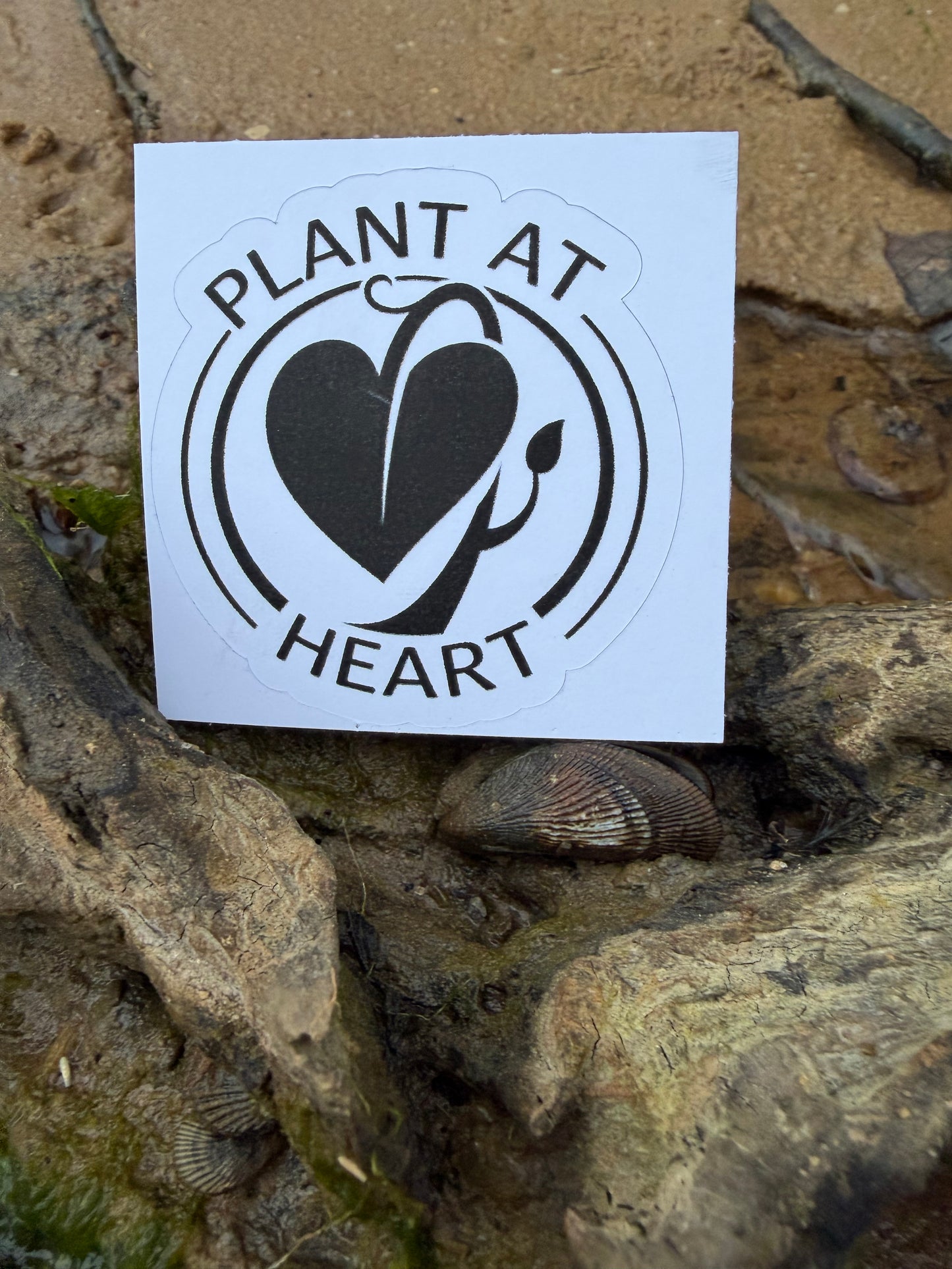 Plant at Heart Vinyl Sticker